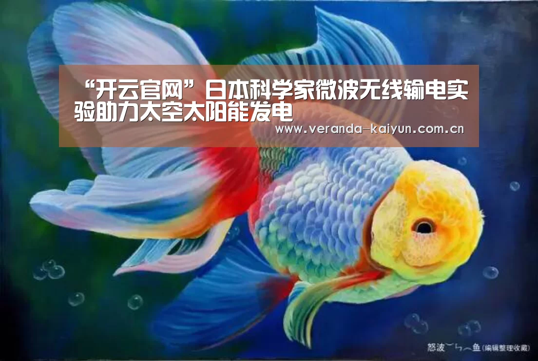 开云官网