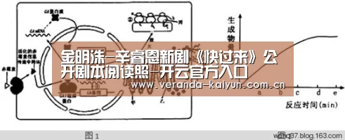 开云在线平台
