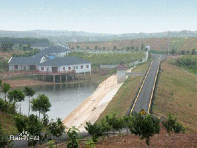 开云网页版